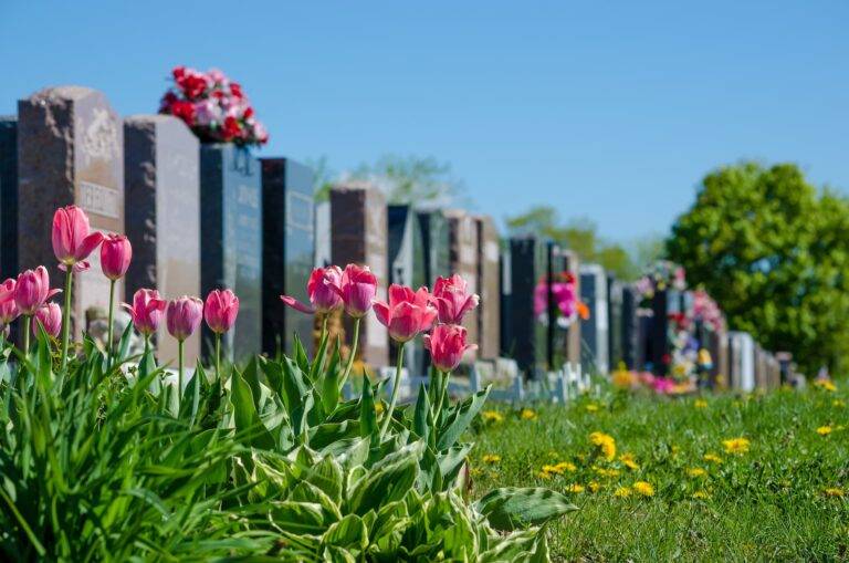 A row of headstones